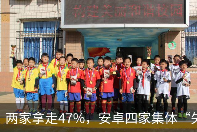 两家拿走47%，安卓四家集体“失血”：手机市场变成两个人的游戏