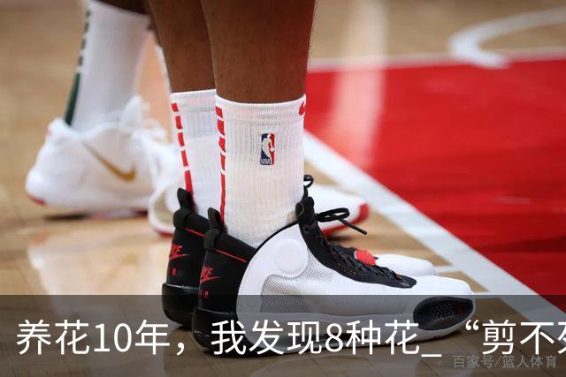 养花10年，我发现8种花 “剪不死”反而会越长越旺，比施肥都管用