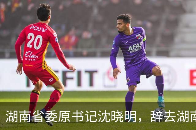湖南省委原书记沈晓明，辞去湖南省人大常委会主任职务；曾任海南省省长、海南省委书记等职务