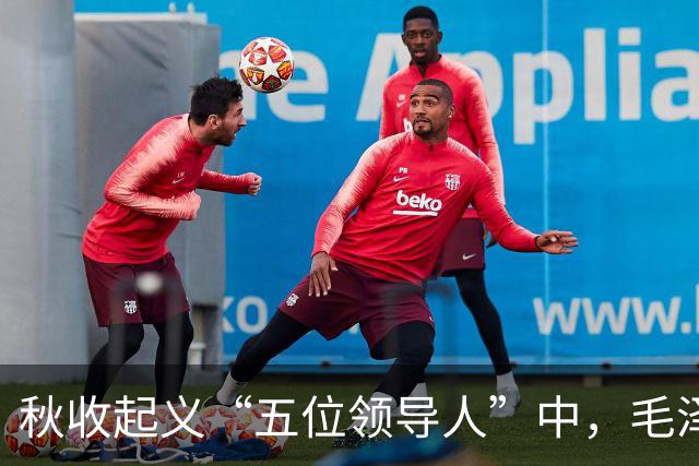 秋收起义“五位领导人”中，毛泽东后来当选国家主席，另外四人的一生经历与最终结局究竟如何？