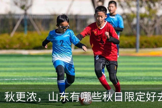 秋更浓，山东有哪些秋日限定好去处？