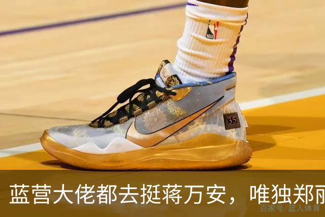 蓝营大佬都去挺蒋万安，唯独郑丽文缺席，她到底在忙什么？