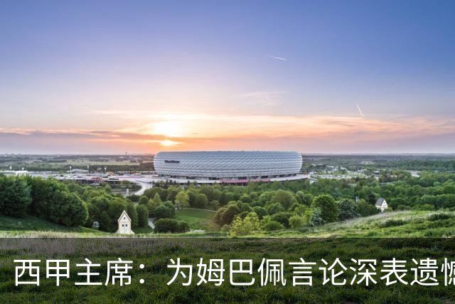 西甲主席：为姆巴佩言论深表遗憾，我代表西甲向中国人民致歉