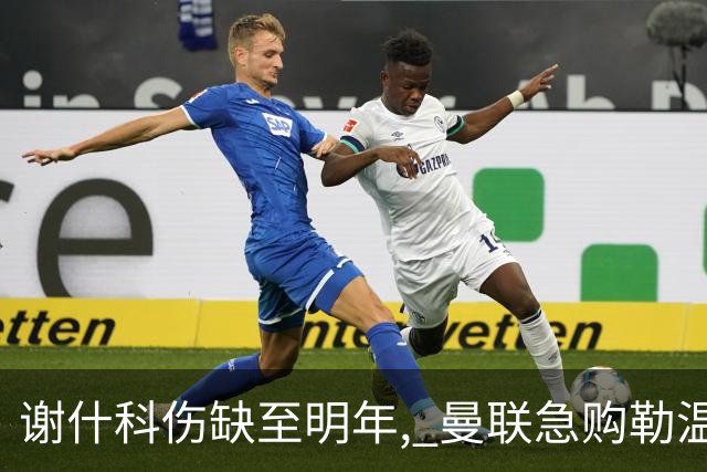 谢什科伤缺至明年, 曼联急购勒温补锋线