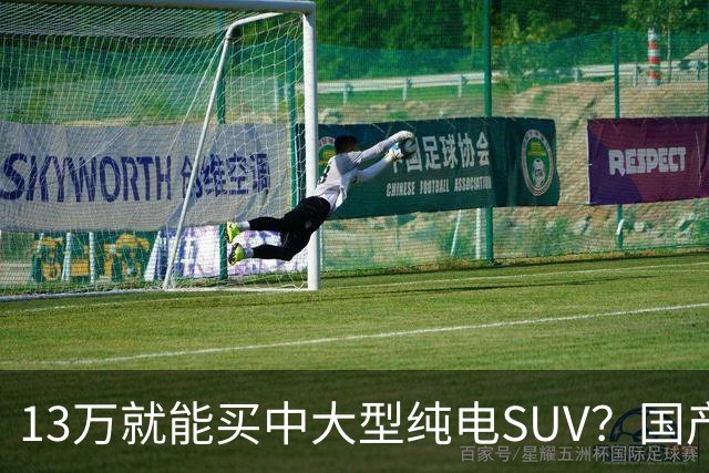 13万就能买中大型纯电SUV？国产硬货对比老牌德系，差距比想象中大